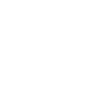 Stroboscopique